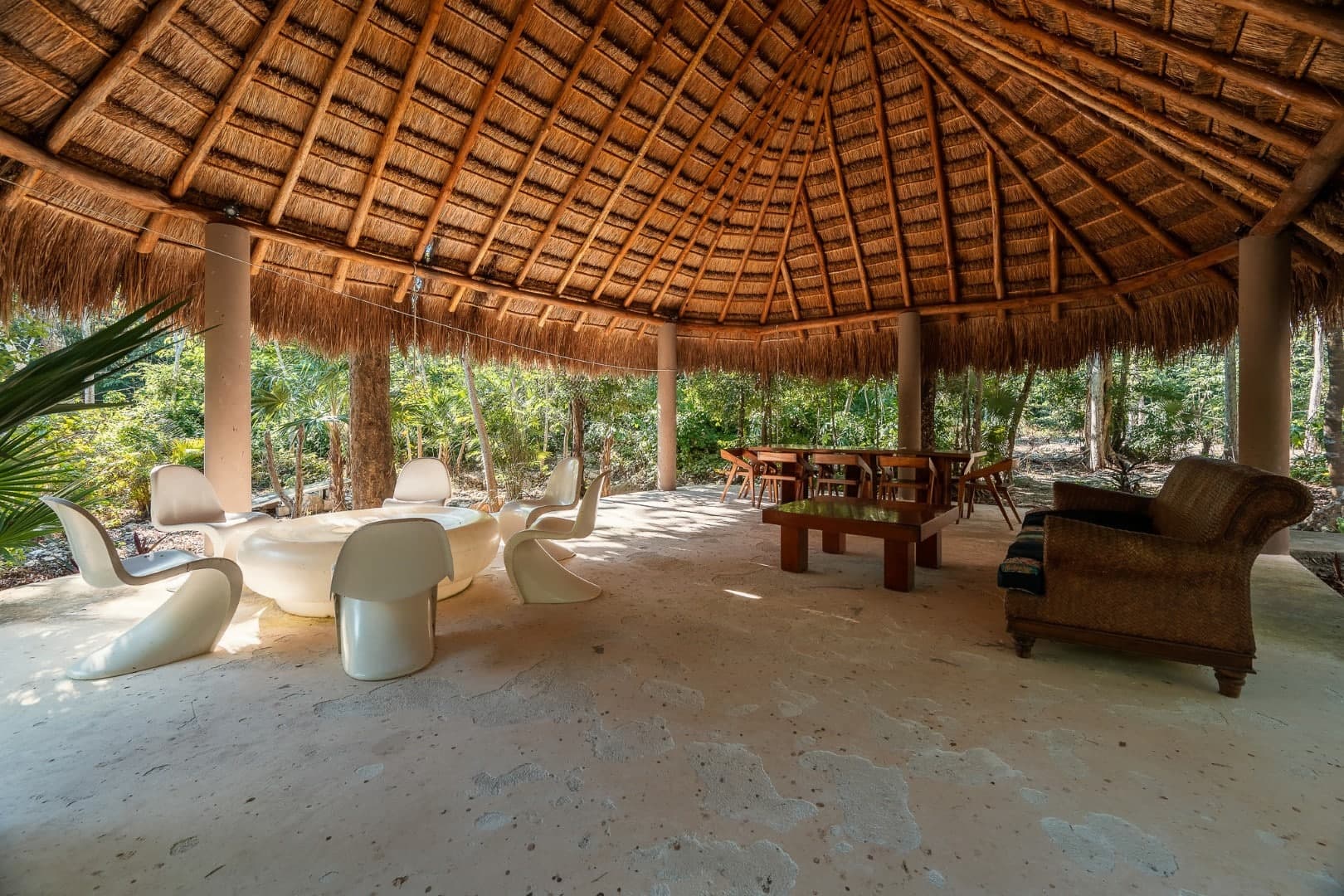 Multi-Unit: 3 Cenotes + Guest House on 1 Hectare - Image 19