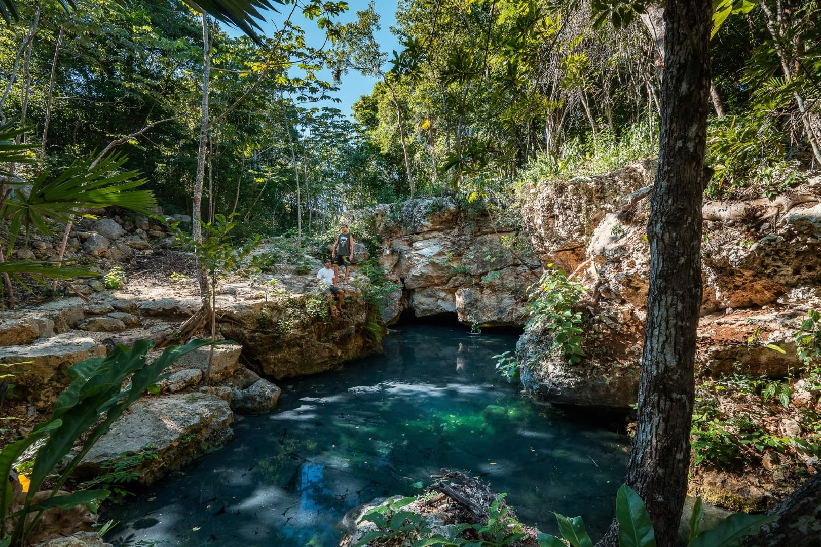 Multi-Unit: 3 Cenotes + Guest House on 1 Hectare - Image 2