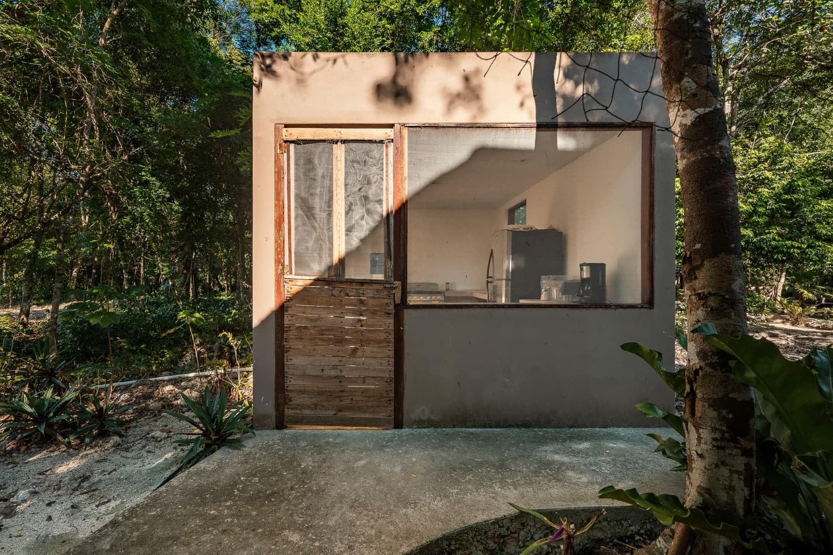 Multi-Unit: 3 Cenotes + Guest House on 1 Hectare - Image 21