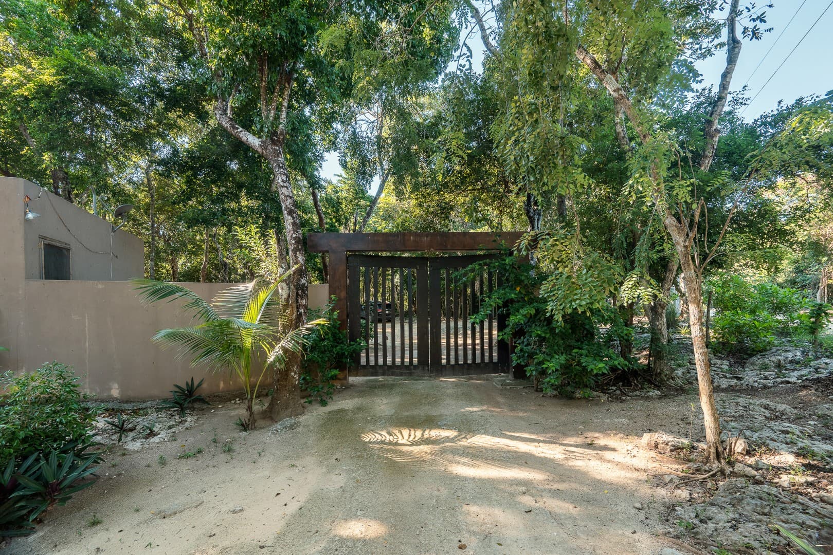 Multi-Unit: 3 Cenotes + Guest House on 1 Hectare - Image 22