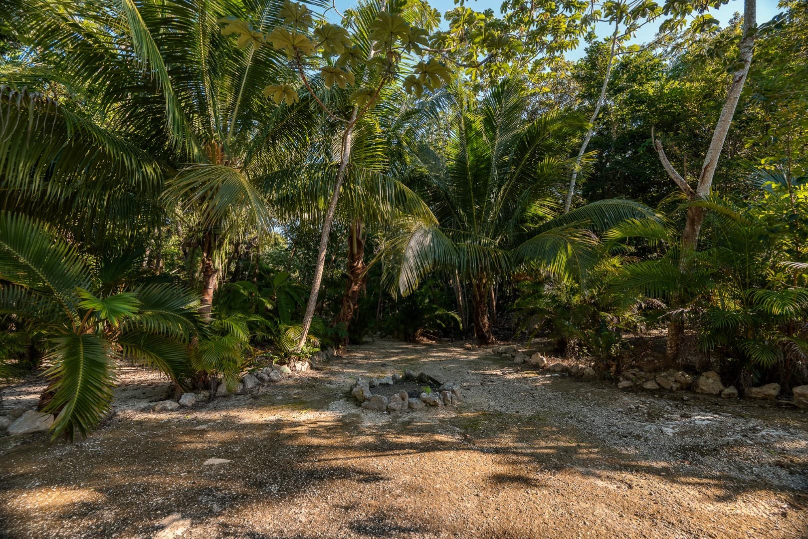 Multi-Unit: 3 Cenotes + Guest House on 1 Hectare - Image 25