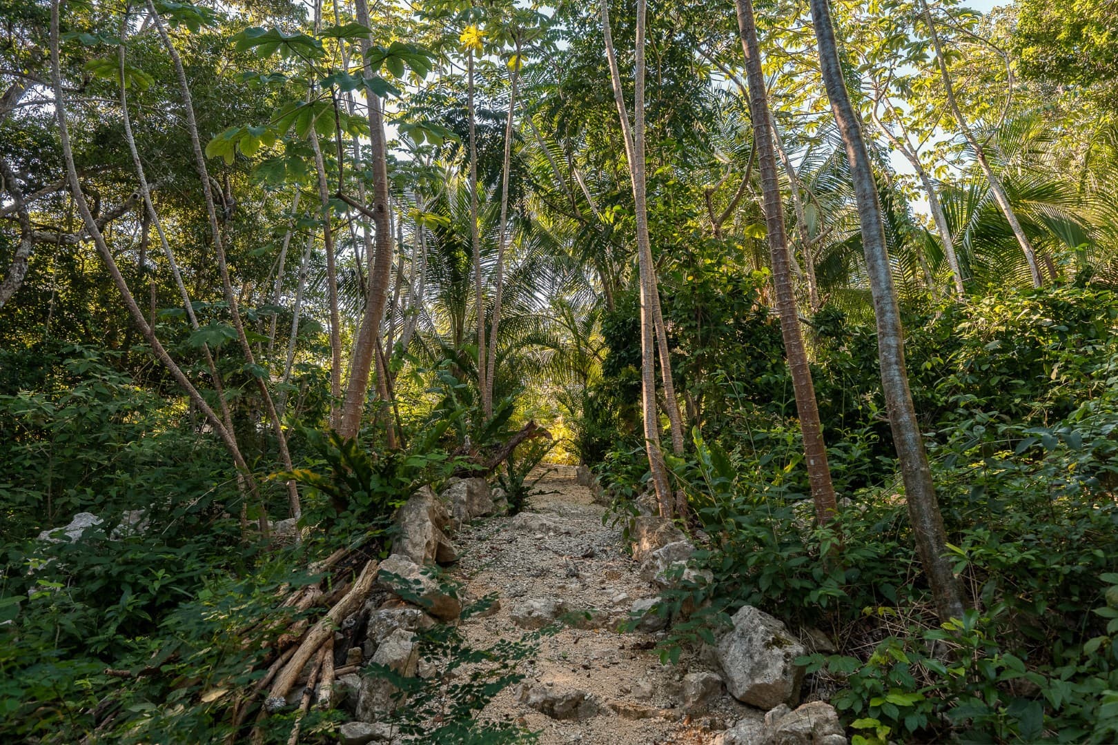 Multi-Unit: 3 Cenotes + Guest House on 1 Hectare - Image 5