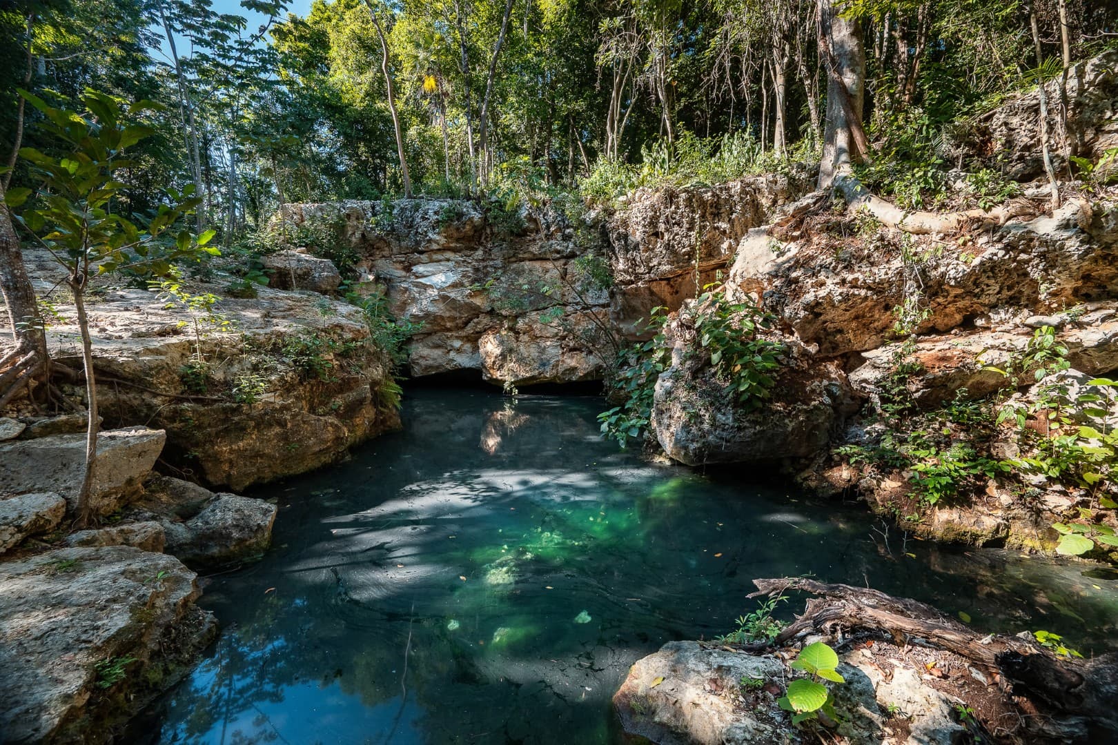 Multi-Unit: 3 Cenotes + Guest House on 1 Hectare - Image 7