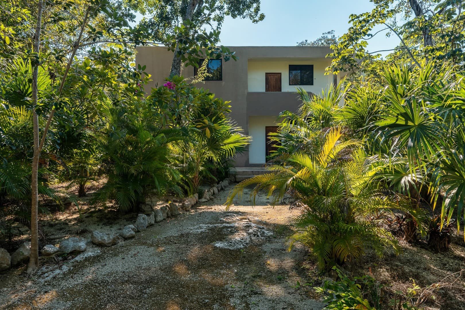 Multi-Unit: 3 Cenotes + Guest House on 1 Hectare - Image 8