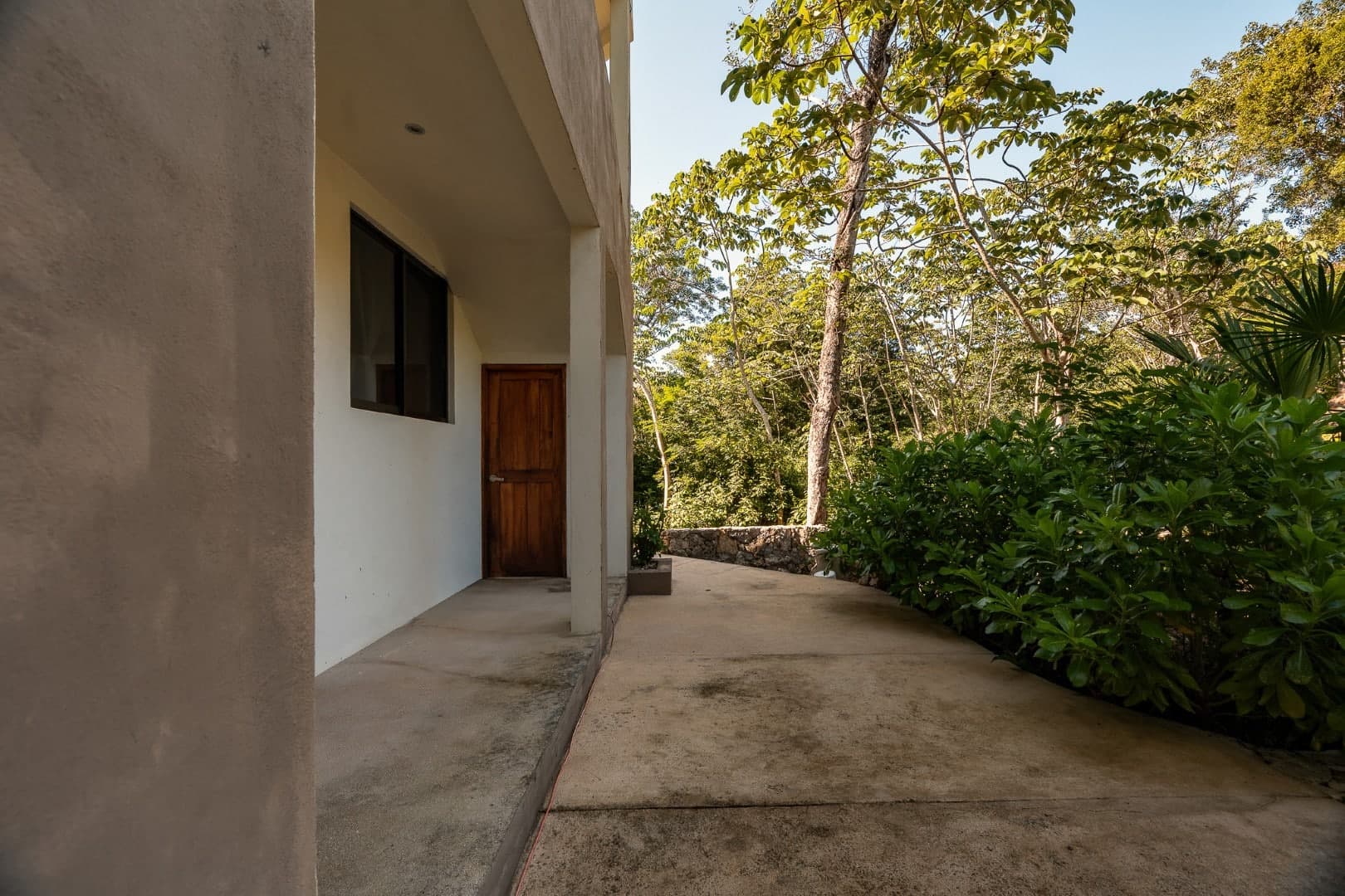 Multi-Unit: 3 Cenotes + Guest House on 1 Hectare - Image 9